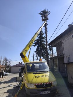 рязане и подкастряне на дървета с вишка 2